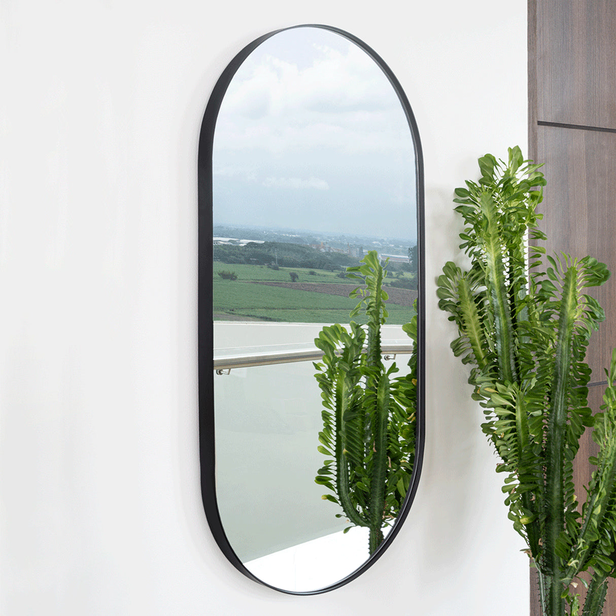 Espejo de Pared Lukman Negra 50x100cm Ovalado con Marco Metalico - Espejos Decorativos | Bylmo