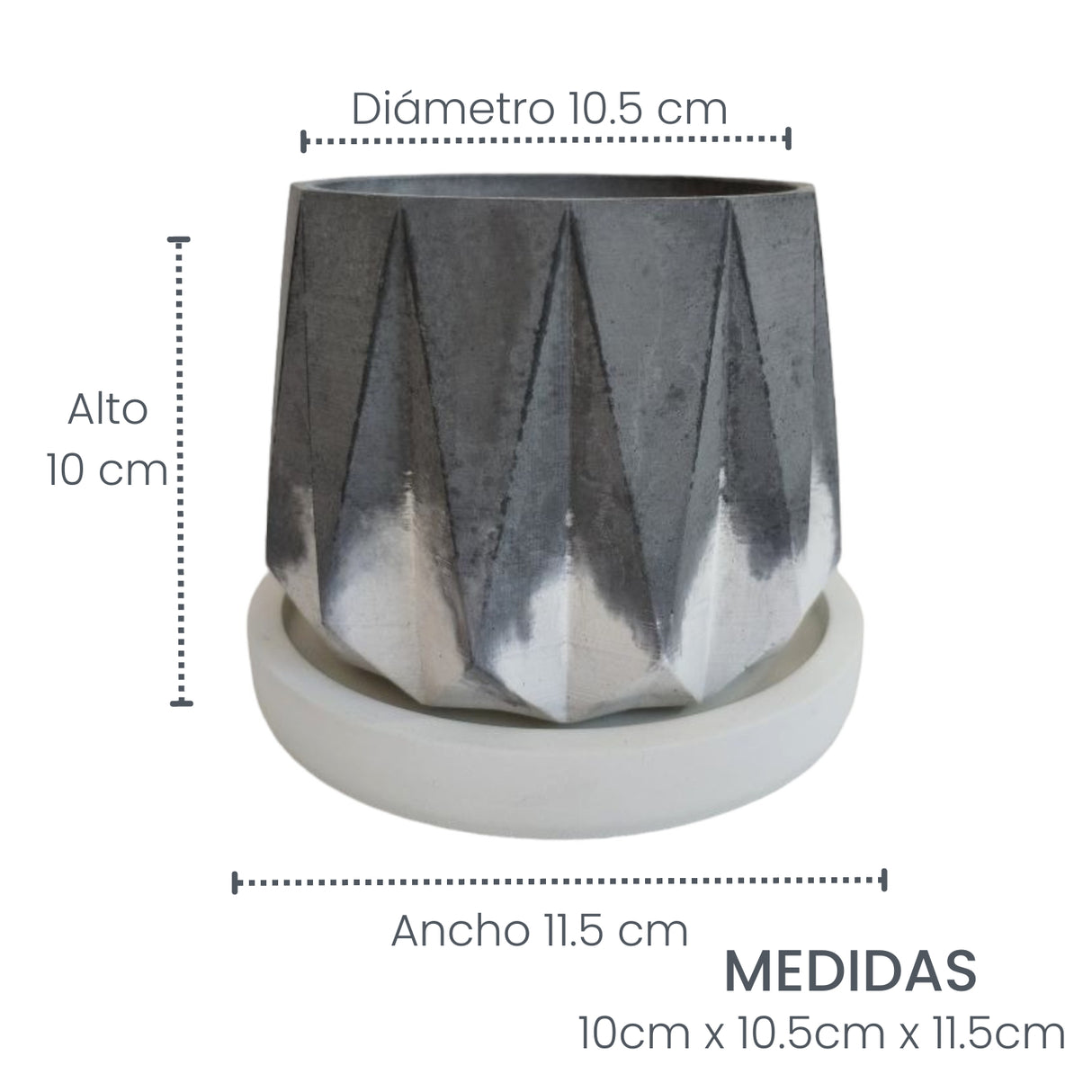 Matera de mesa Lirio Negro y Blanco 10x2cm de Cemento Circular de 0.2 Litros - Jardineria | Bylmo