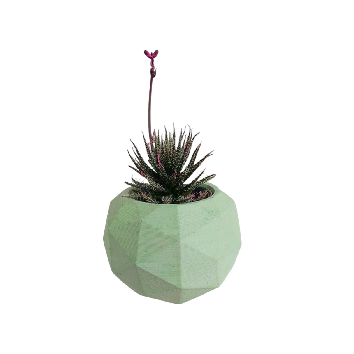 Matera de mesa Laia Verde Menta 7x8cm de Cemento Circular de 0.3 Litros - Jardineria | Bylmo