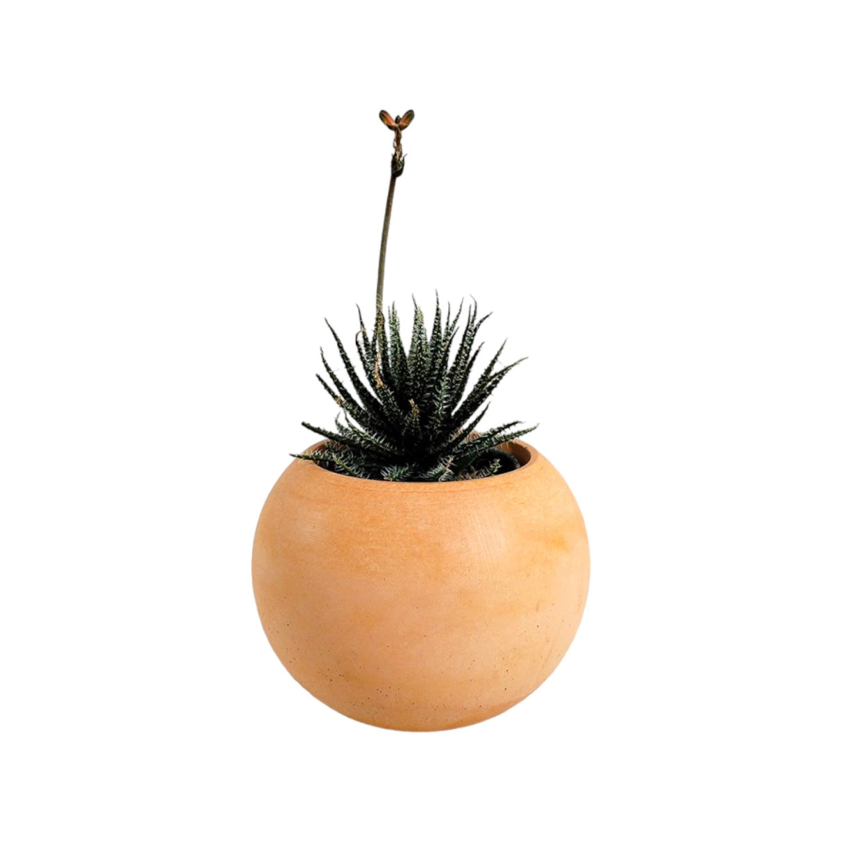 Matera de mesa Luna Terracota 6x7cm de Cemento Circular de 0.2 Litros - Jardineria | Bylmo