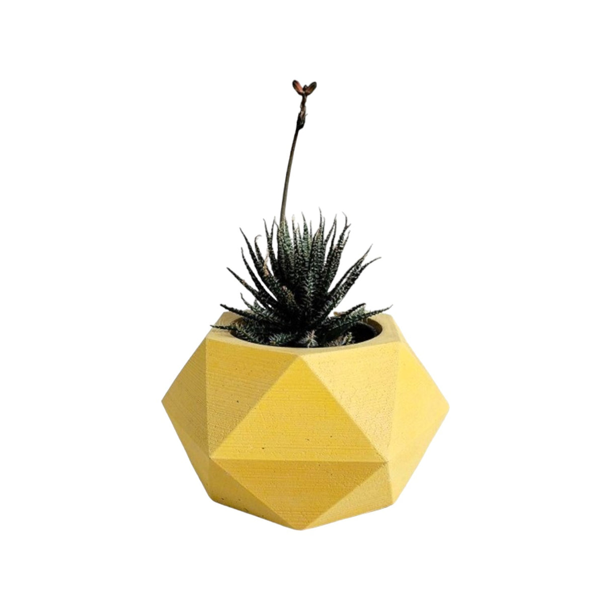Matera de mesa Adara Petty Amarillo 7x7cm de Cemento Hexagonal de 0.2 Litros - Jardineria | Bylmo