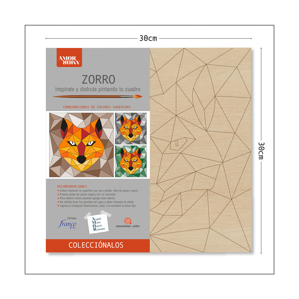 Kit Cuadro Para Pintar Natural 30x30cm De Zorro - Cuadros | Bylmo