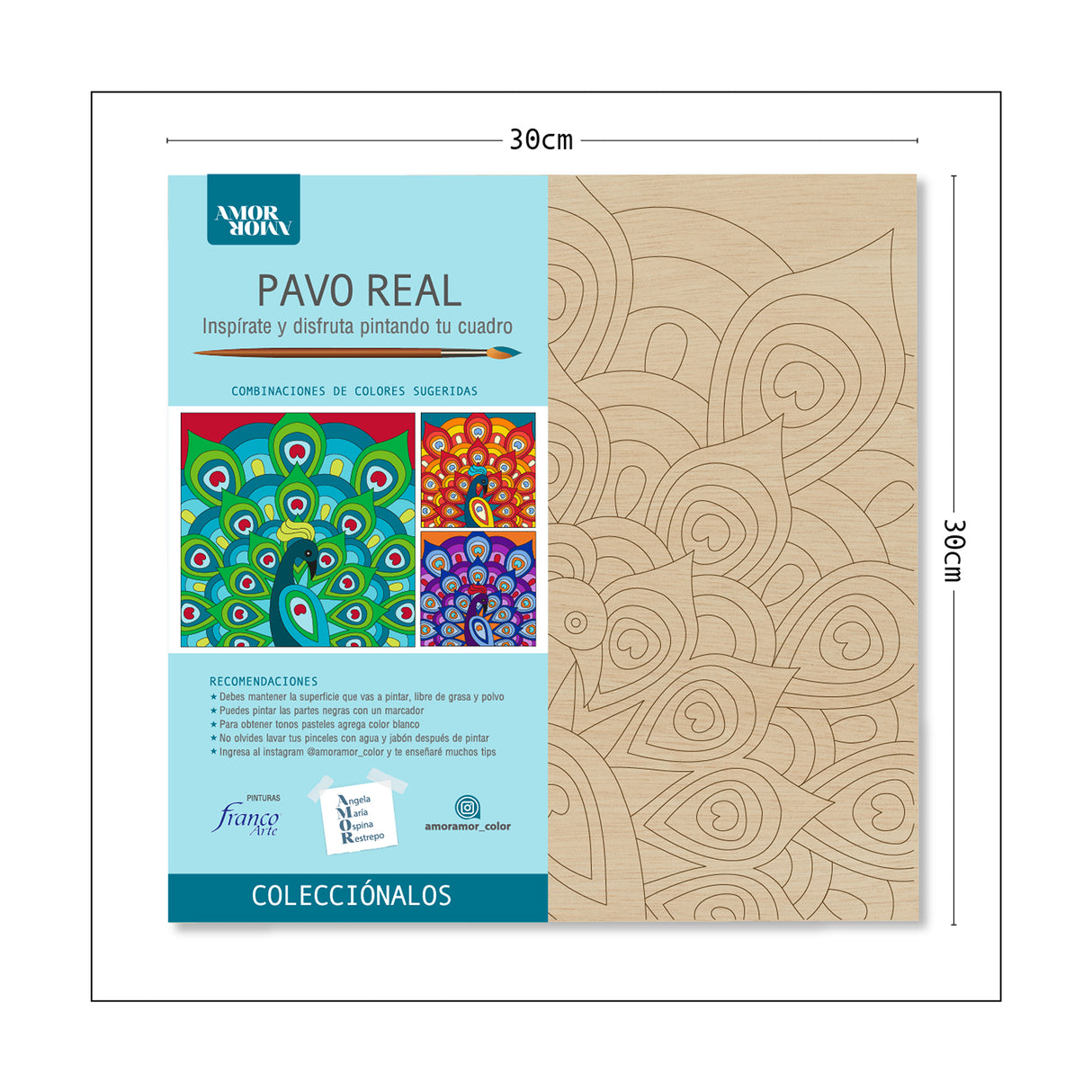 Kit Cuadro Para Pintar Natural 30x30cm De Pavo Real - Cuadros | Bylmo