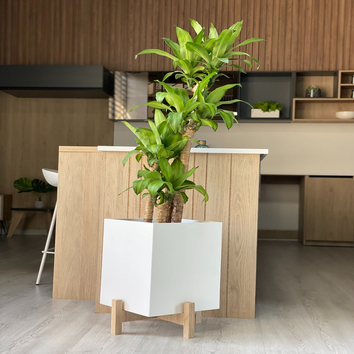 Matera Lucia Cafe 30x30cm Cuadrada Tradicional de Piso - Materas y Macetas | Bylmo