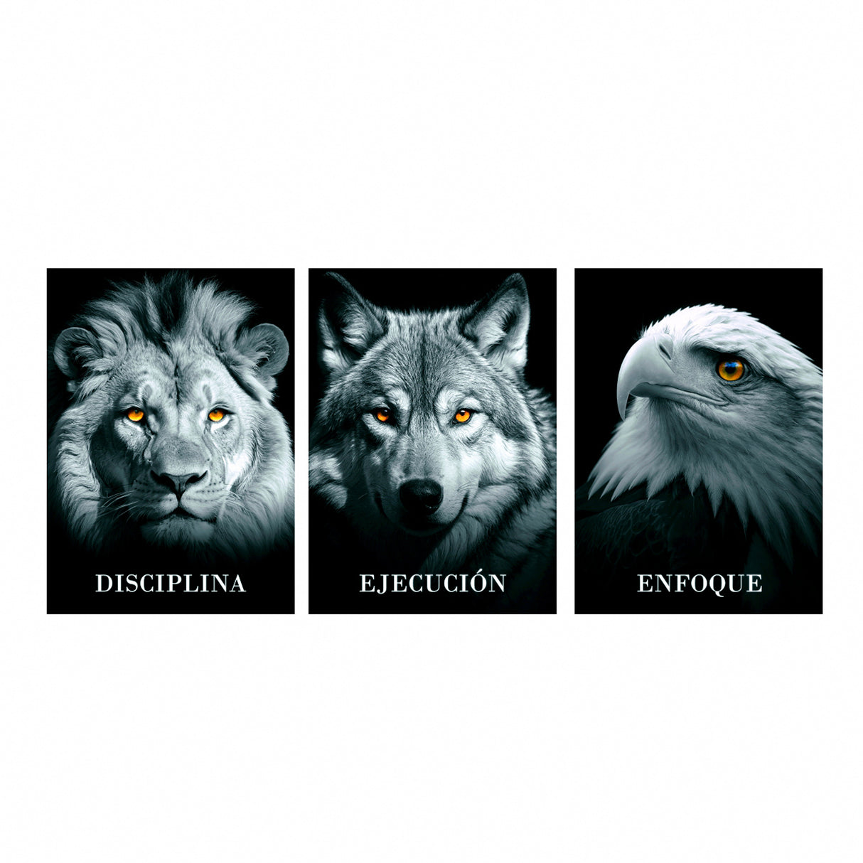 Set 3 Cuadros de Lienzo Determinación 43x60cm Decorativos - Cuadros | Bylmo