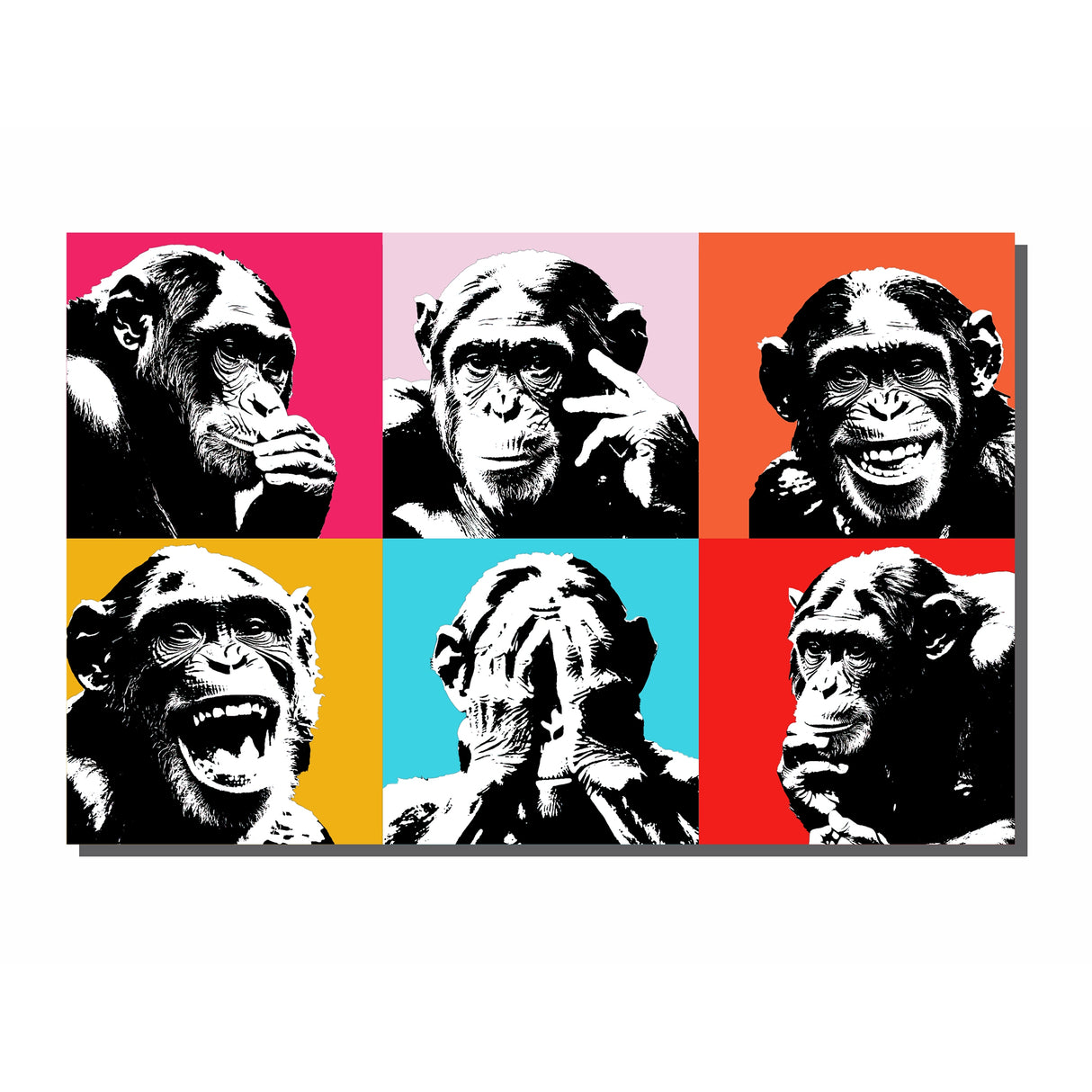 Cuadro de Lienzo Emociones 60x43cm Decorativo - Cuadros | Bylmo