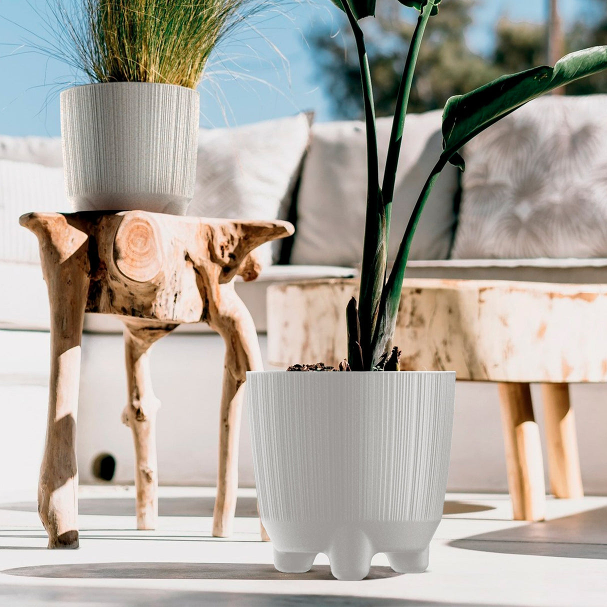 Matera Ryfo N Eco Blanco 19.5x19.4cm Cónica De Escritorio - Materas y Macetas | Bylmo