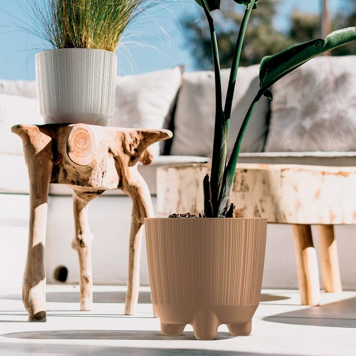 Matera Ryfo N Eco Cafe Claro 19.5x19.4cm Cónica De Escritorio - Materas y Macetas | Bylmo