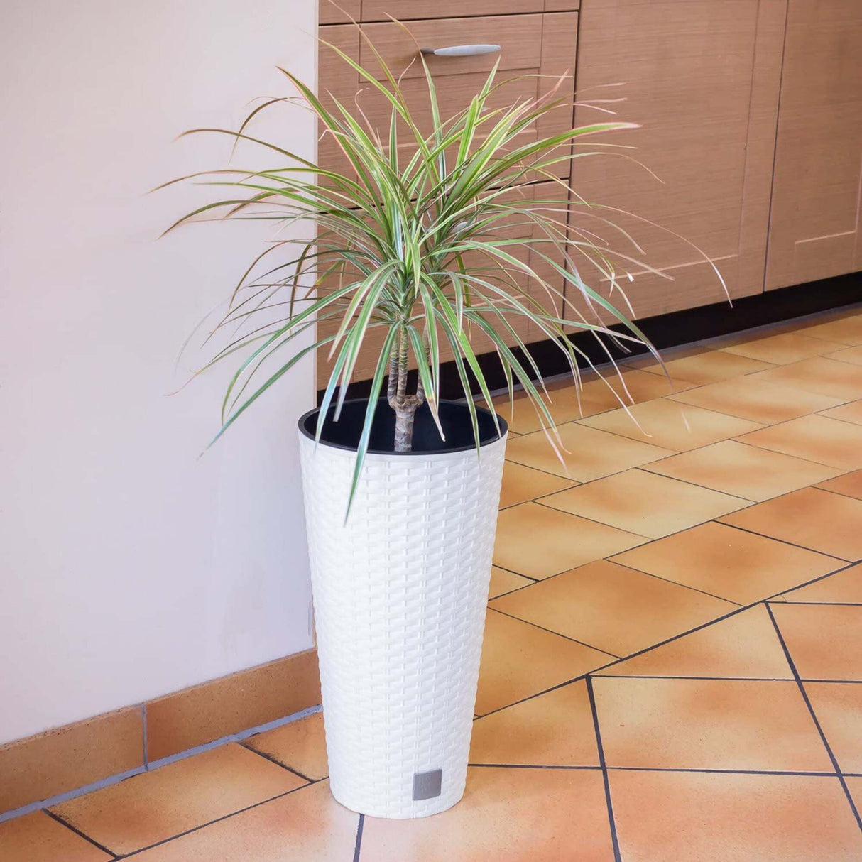 Matera Tubus Rato Blanco 40x76.3cm Cónica Tradicionales De Piso - Materas y Macetas | Bylmo