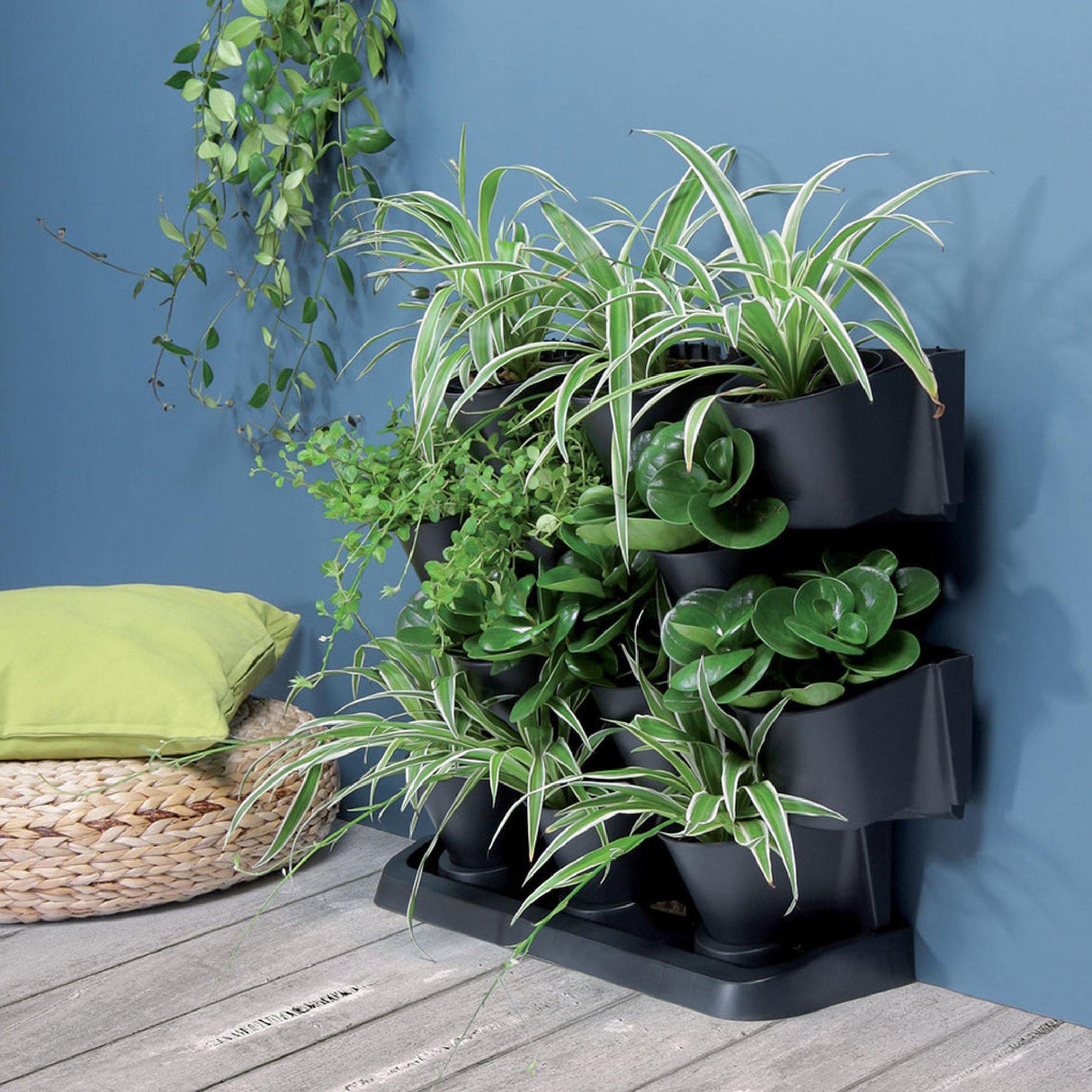 Matera Cascade Garden Antracita 68.5x54.6cm Asimétrica Jardin Vertical - Materas y Macetas | Bylmo