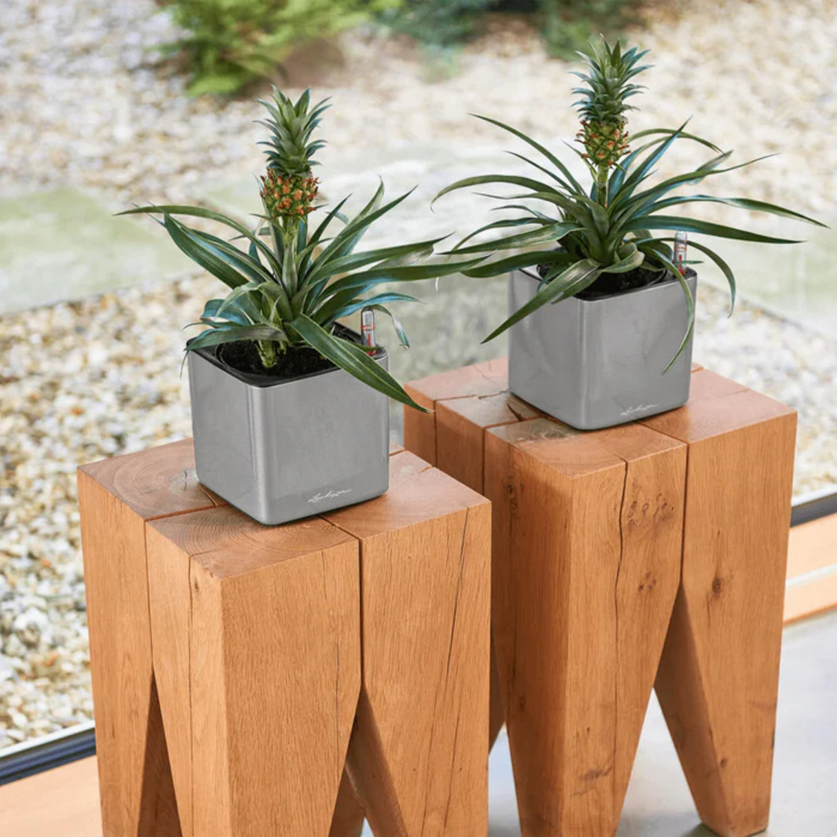 Matera Cube Plata 14x14cm Cuadrada De Escritorio Con Sistema de Riego Automático - Materas y Macetas | Bylmo