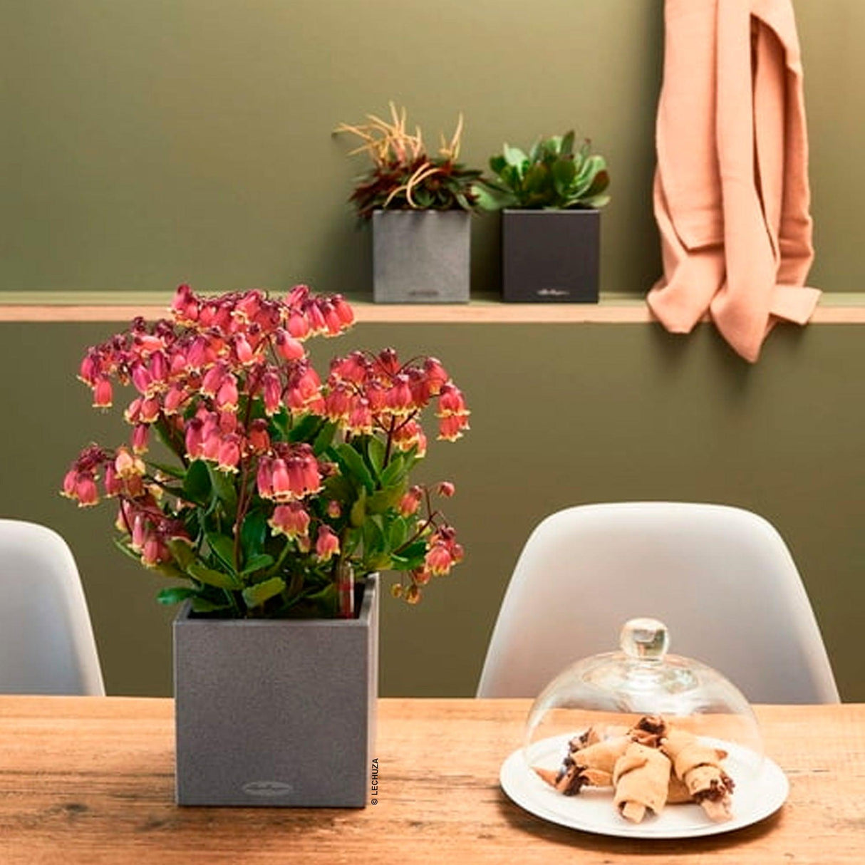 Matera Canto Gris Piedra 14x13.5cm Cuadrada De Escritorio Con Sistema de Riego Automático - Materas y Macetas | Bylmo