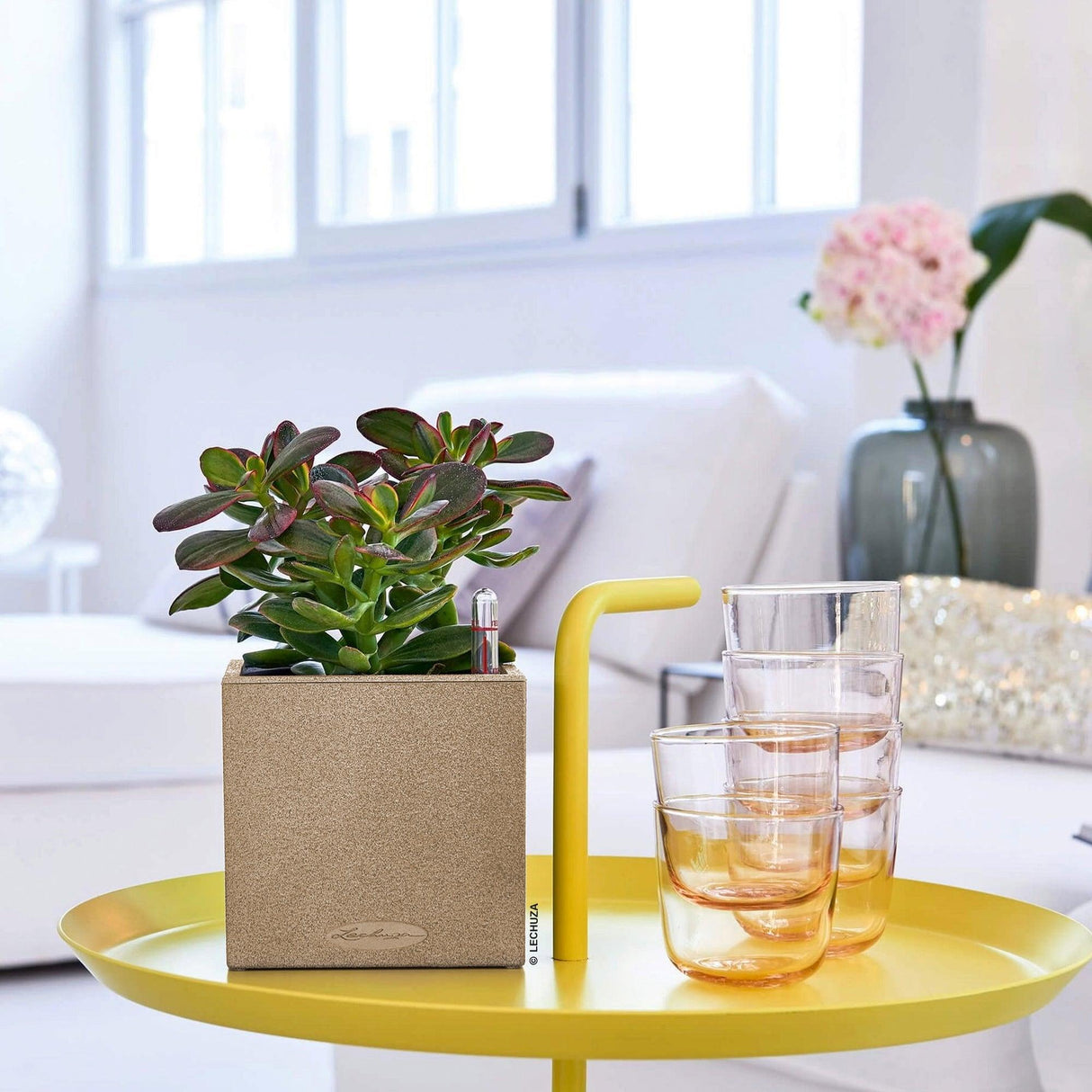 Matera Canto Arena 14x13.5cm Cuadrada De Escritorio Con Sistema de Riego Automático - Materas y Macetas | Bylmo