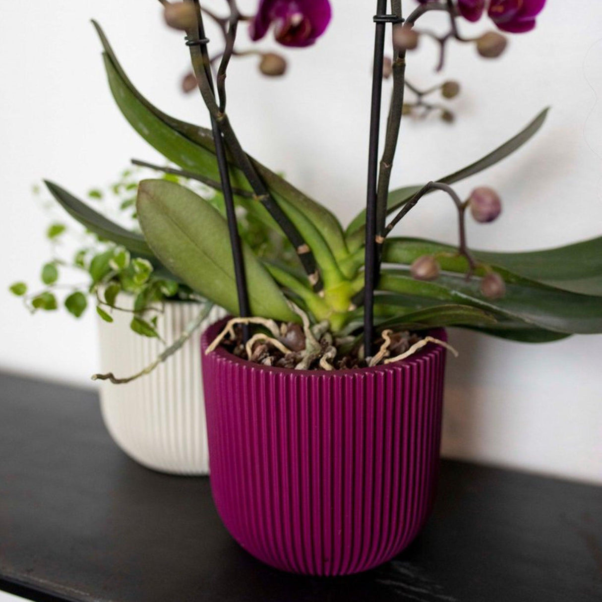 Matera Conic Round Groove Morado 17x15cm Cónica De Escritorio - Materas y Macetas | Bylmo