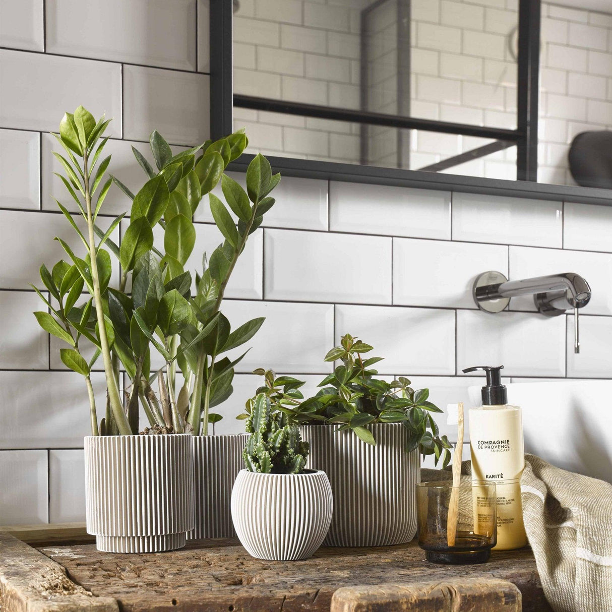 Matera Ball Groove Marfil 18x15cm Cónica De Escritorio - Materas y Macetas | Bylmo