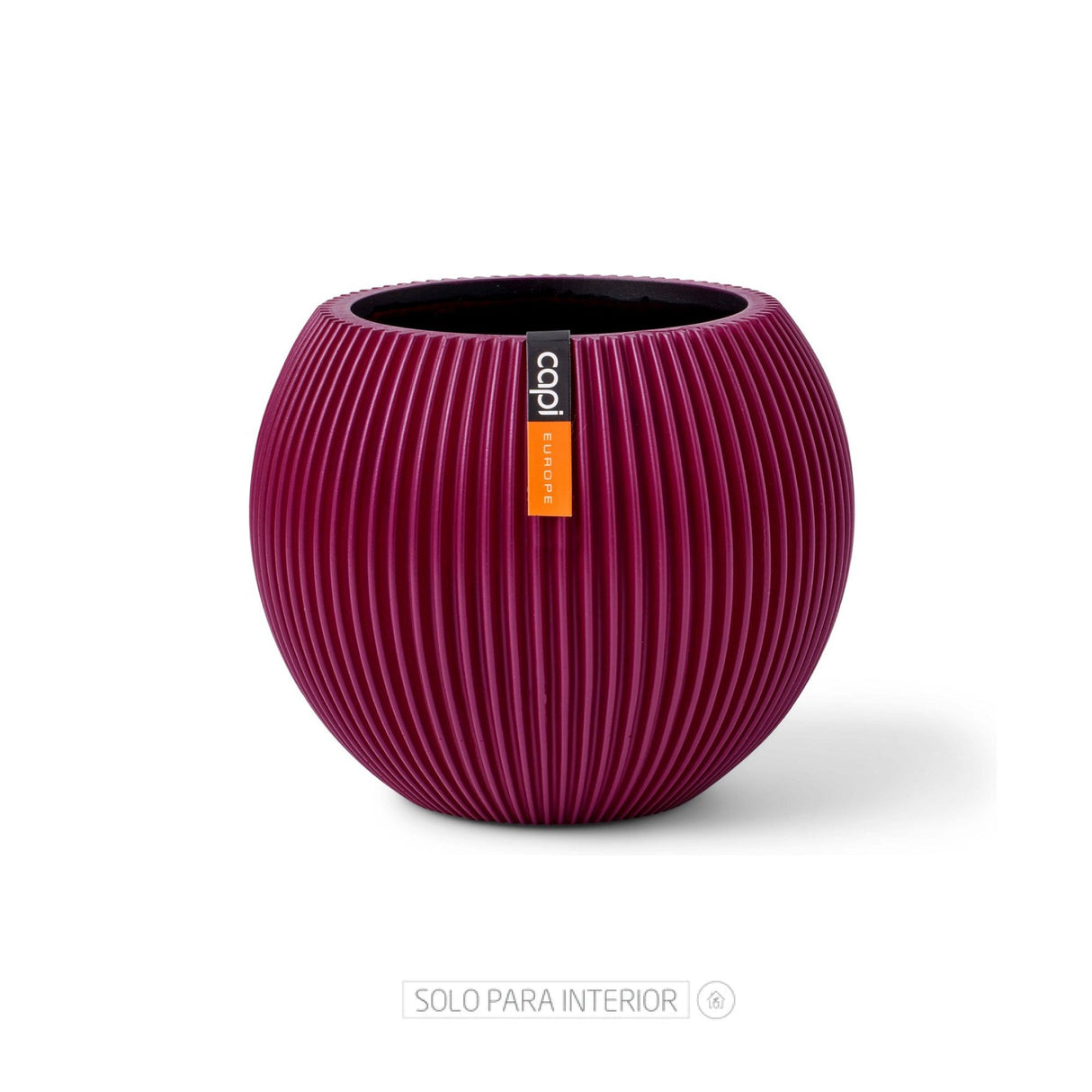 Matera Ball Groove Morado 18x15cm Cónica De Escritorio - Materas y Macetas | Bylmo