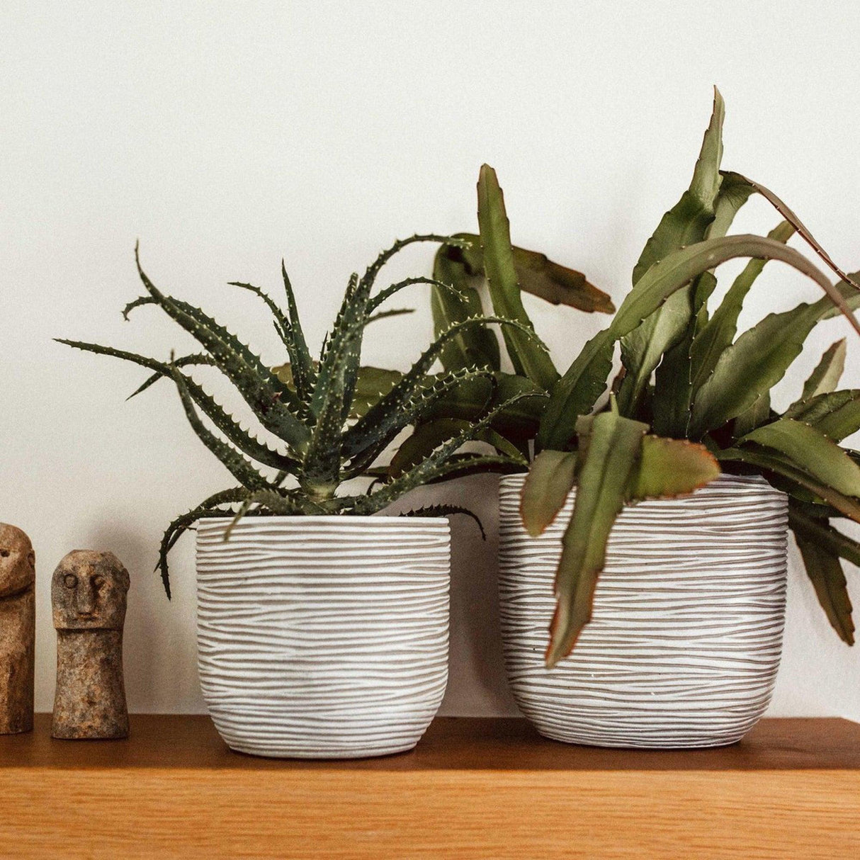 Matera Conic Round Rib Marfil 14x12cm Cónica De Escritorio - Materas y Macetas | Bylmo