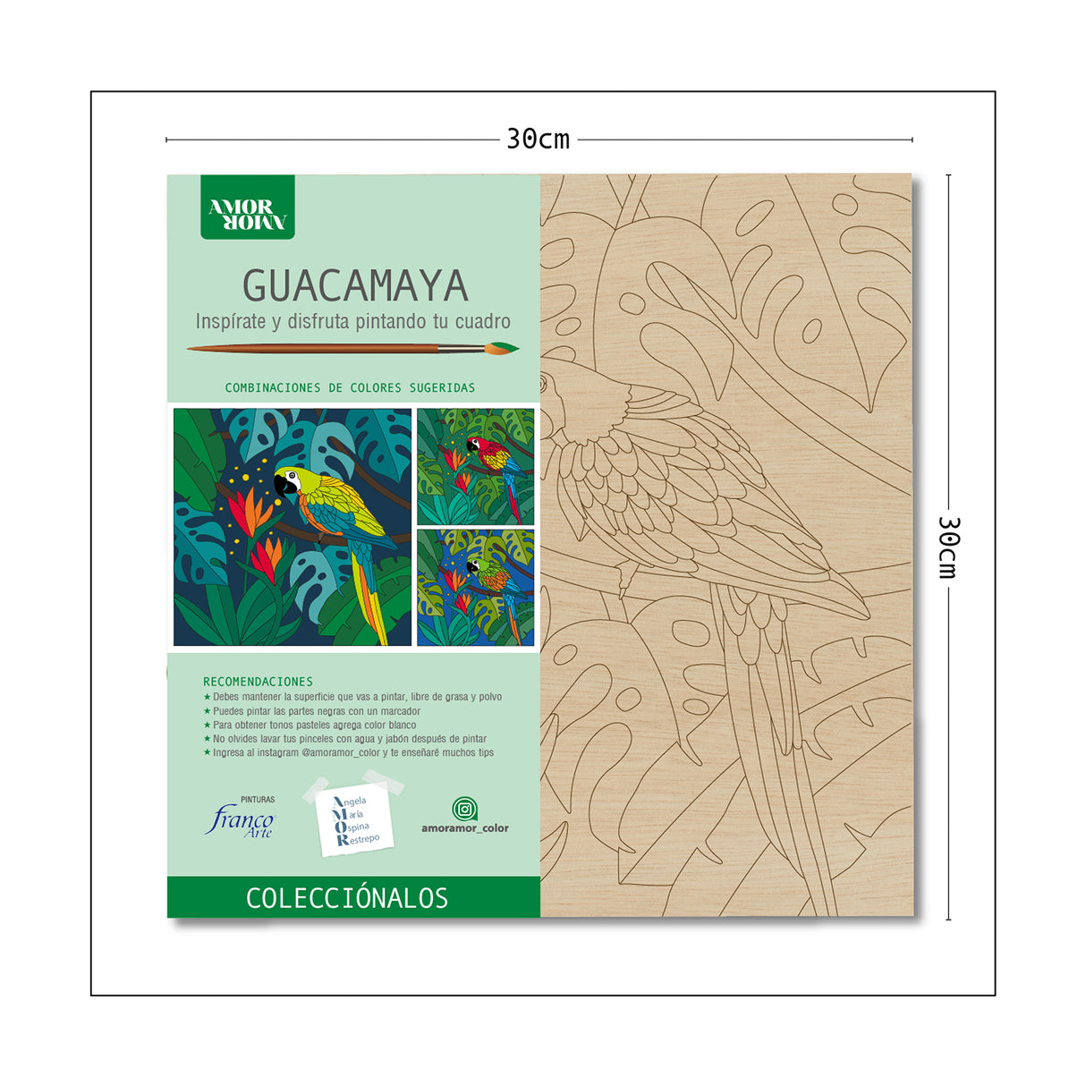 Kit Cuadro para Pintar Guacamaya en MDF 30x30cm con Acrílicos y Pincel - Cuadros | Bylmo