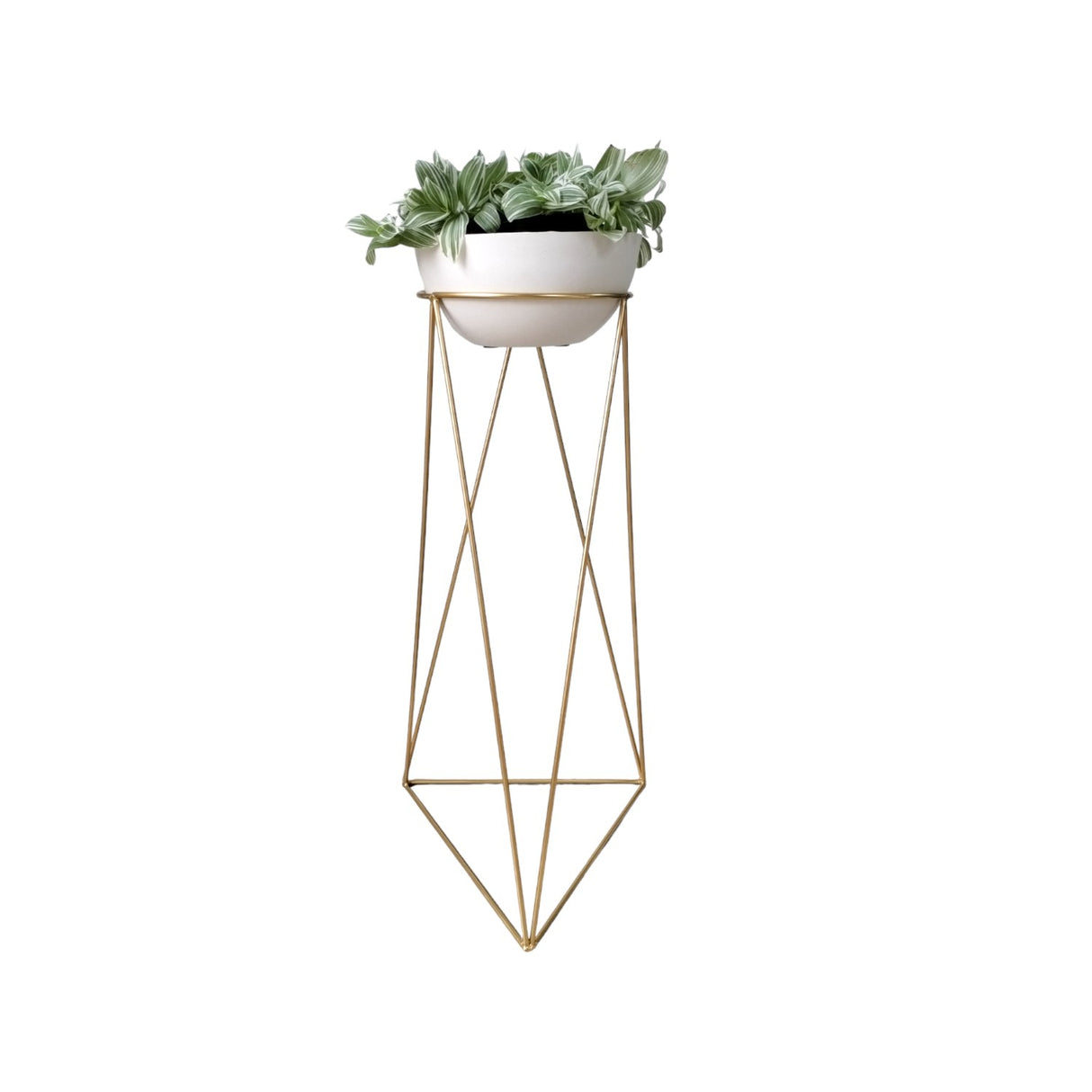 Combo Matera Bowl Mediana Cónica Blanco y Dorado 24x11cm Tradicionales De Piso Con Base Metálica - MATERAS Y MACETAS | Bylmo