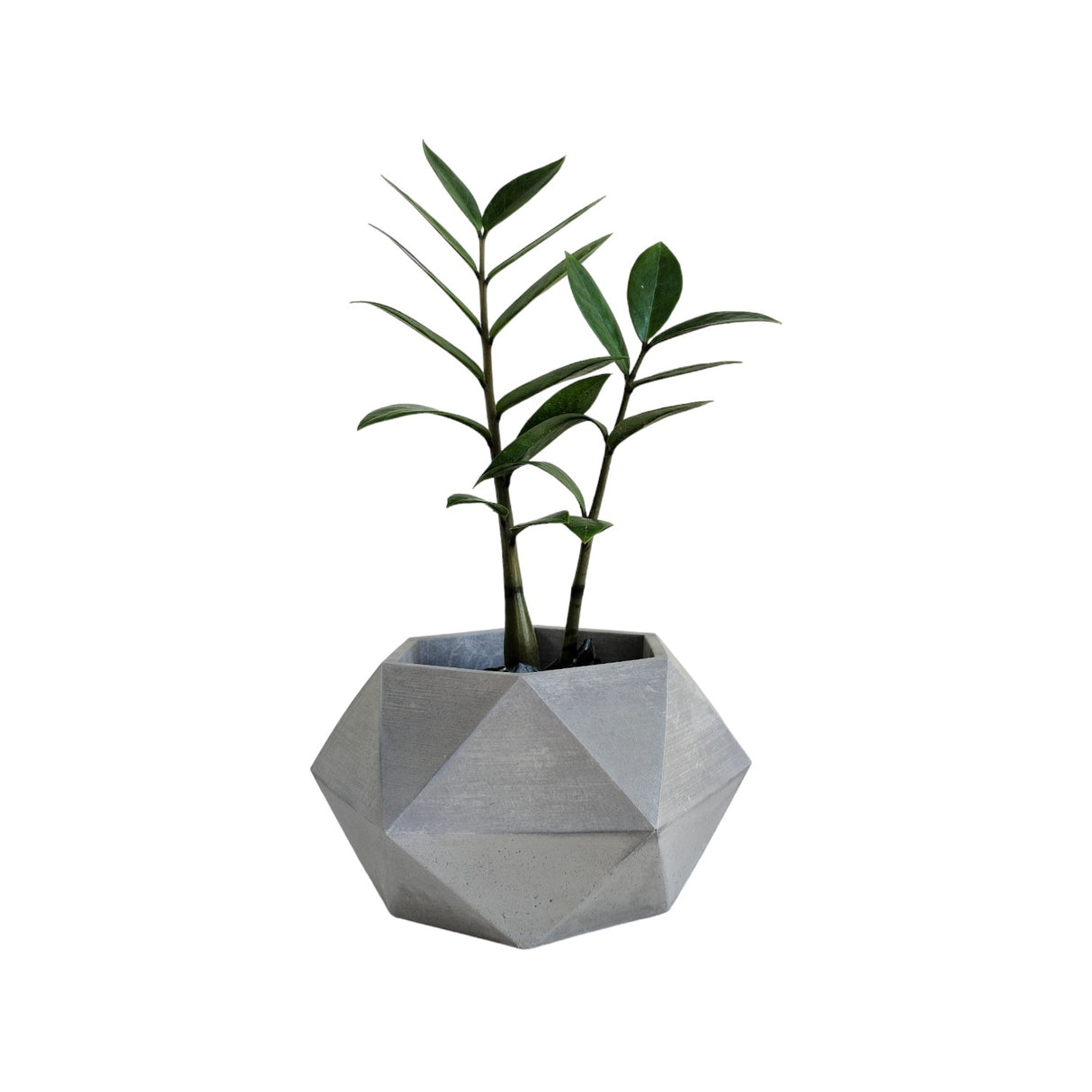 Matera de mesa Mediana Adara gris 18x10.5cm Hexagonal - MATERAS Y MACETAS | Bylmo