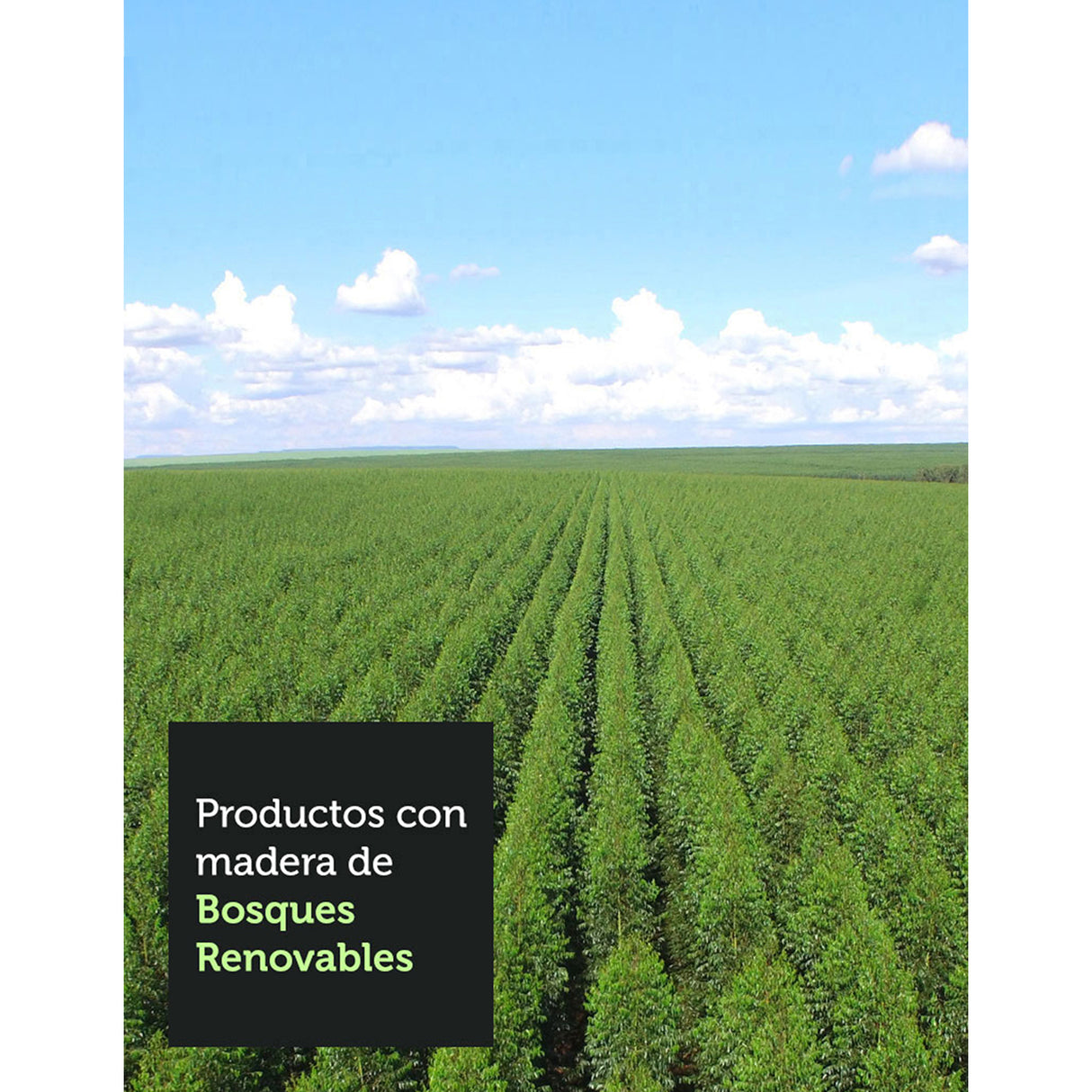 Cocina Easy Marron y Crema 120x136cm con Mesón y sin Pozuelo - COCINAS | Bylmo