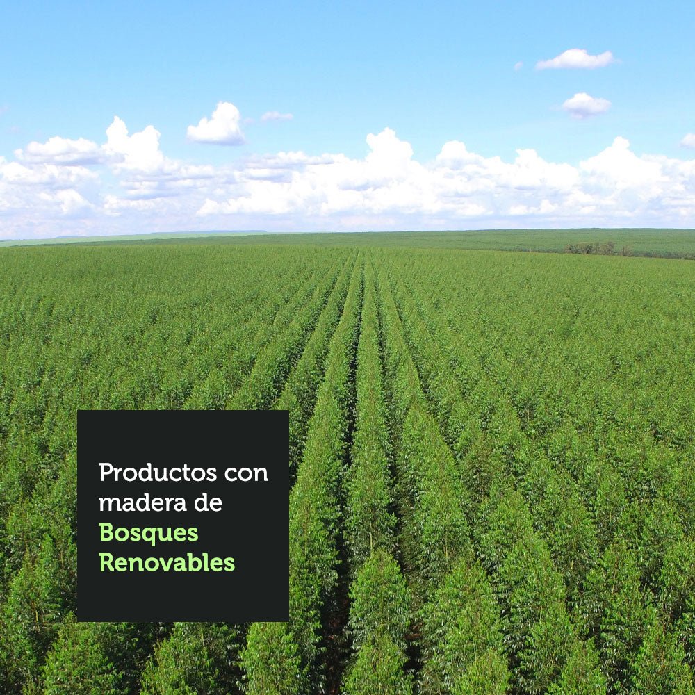 Closet Reno Negro y Blanco 180x205cm con Un Espejo con Cuatro Cajones y con Seis Entrepaños - CLOSETS | Bylmo