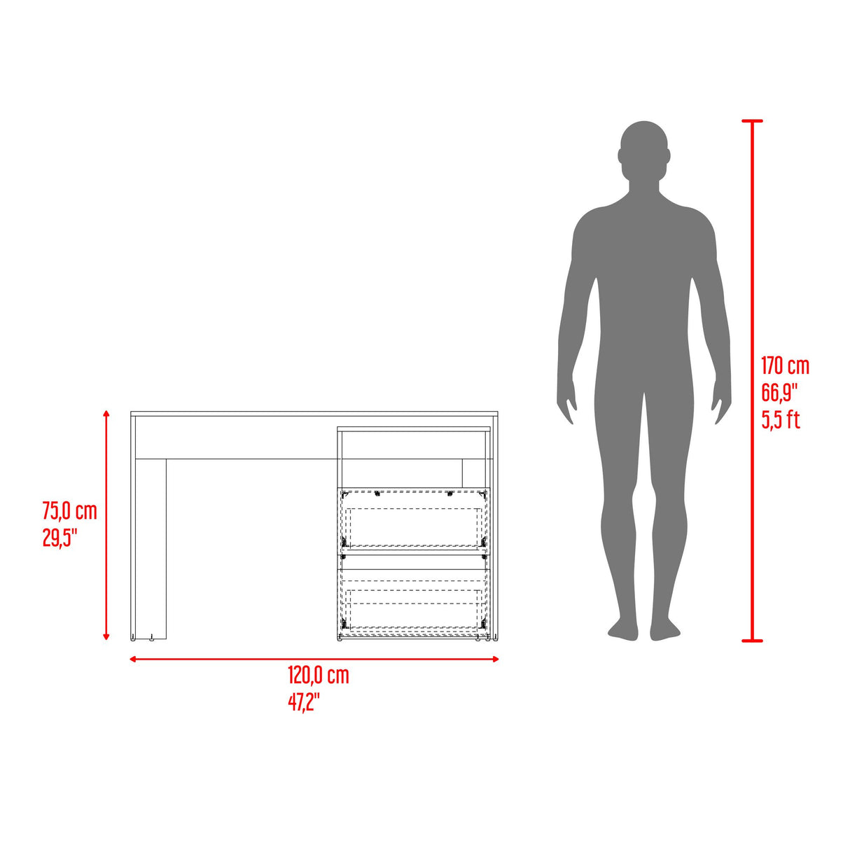 Escritorio Rookie Bardolino y Capri 60x75cm con Dos Cajones y con Organizador de Libros - ESCRITORIOS | Bylmo