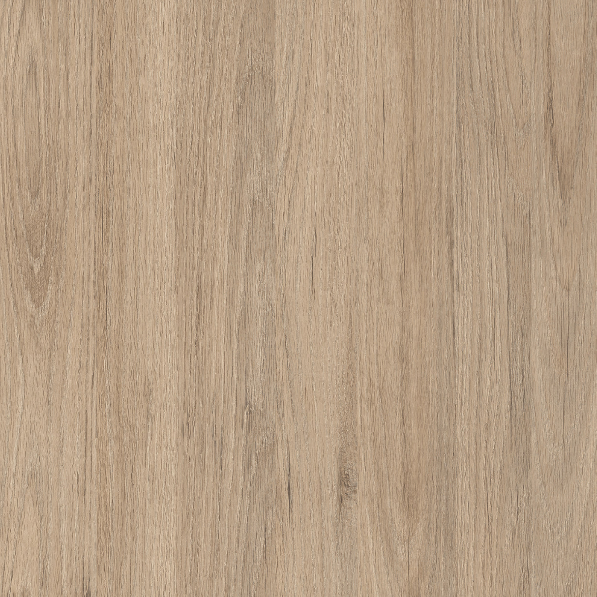 Puerta Rovere 90x225cm Melaminado sin Marco y sin Chapa - PUERTAS | Bylmo