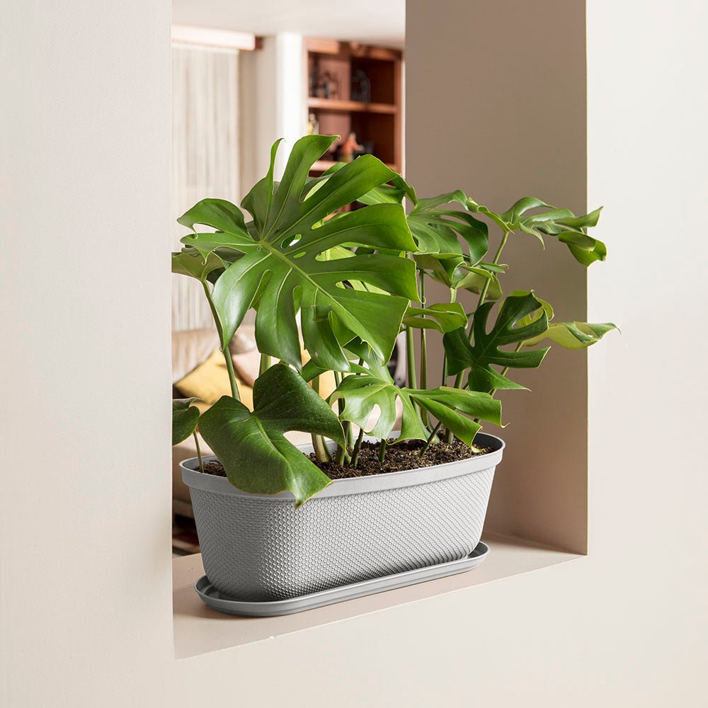 Matera de Mesa Rimax Rafia Gris Hielo 60.2x19.6cm Ovalado con Orificio de Drenaje - MATERAS DE MESA | Bylmo