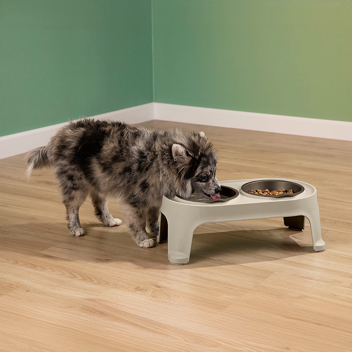 Comedero Alto para Perros Rimax Taupe 44.5x16.5cm Para Perros Pequeños - COMEDEROS Y BEBEDEROS PARA MASCOTAS | Bylmo