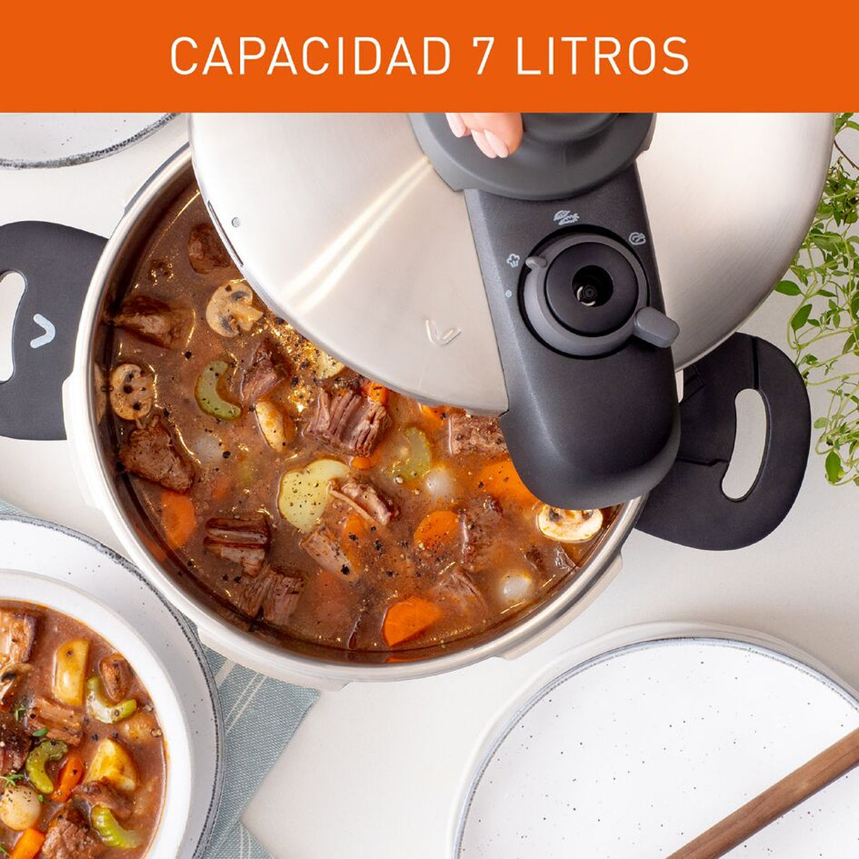 Olla a Presión Imusa Talent Plateado 36x28cm de 7 Litros y Acero Inoxidable - OLLAS Y SARTENES | Bylmo