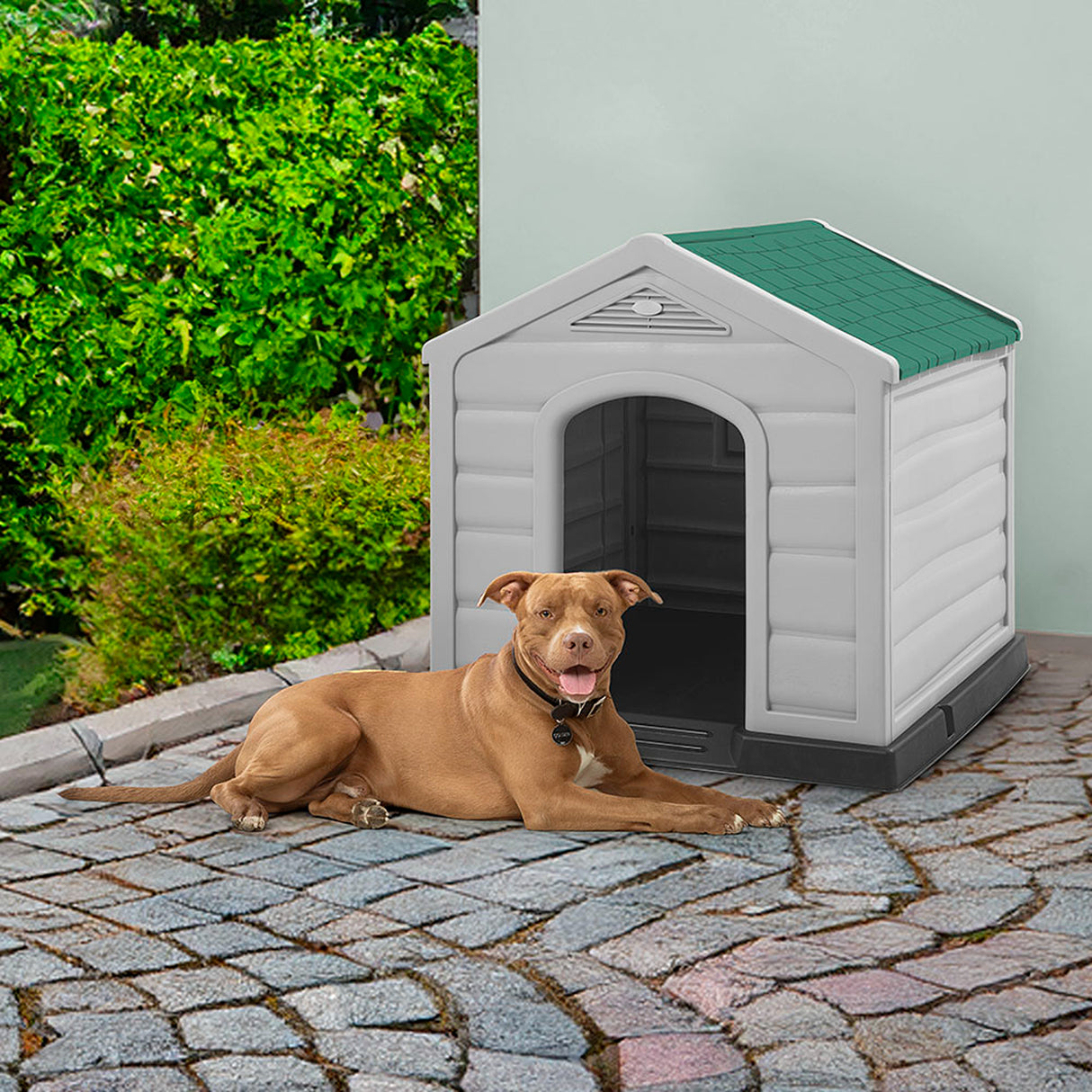 Casa para Perro Rimax Gris y Verde 90x89cm para Perros Medianos y Grandes
