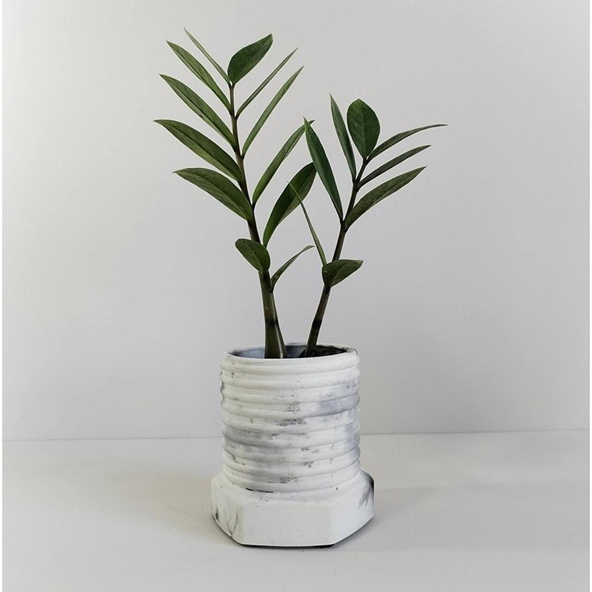 Matera de mesa Tornillo Mármol Negro 10x10cm de Cemento Circular de 0.8 Litros - Jardineria | Bylmo