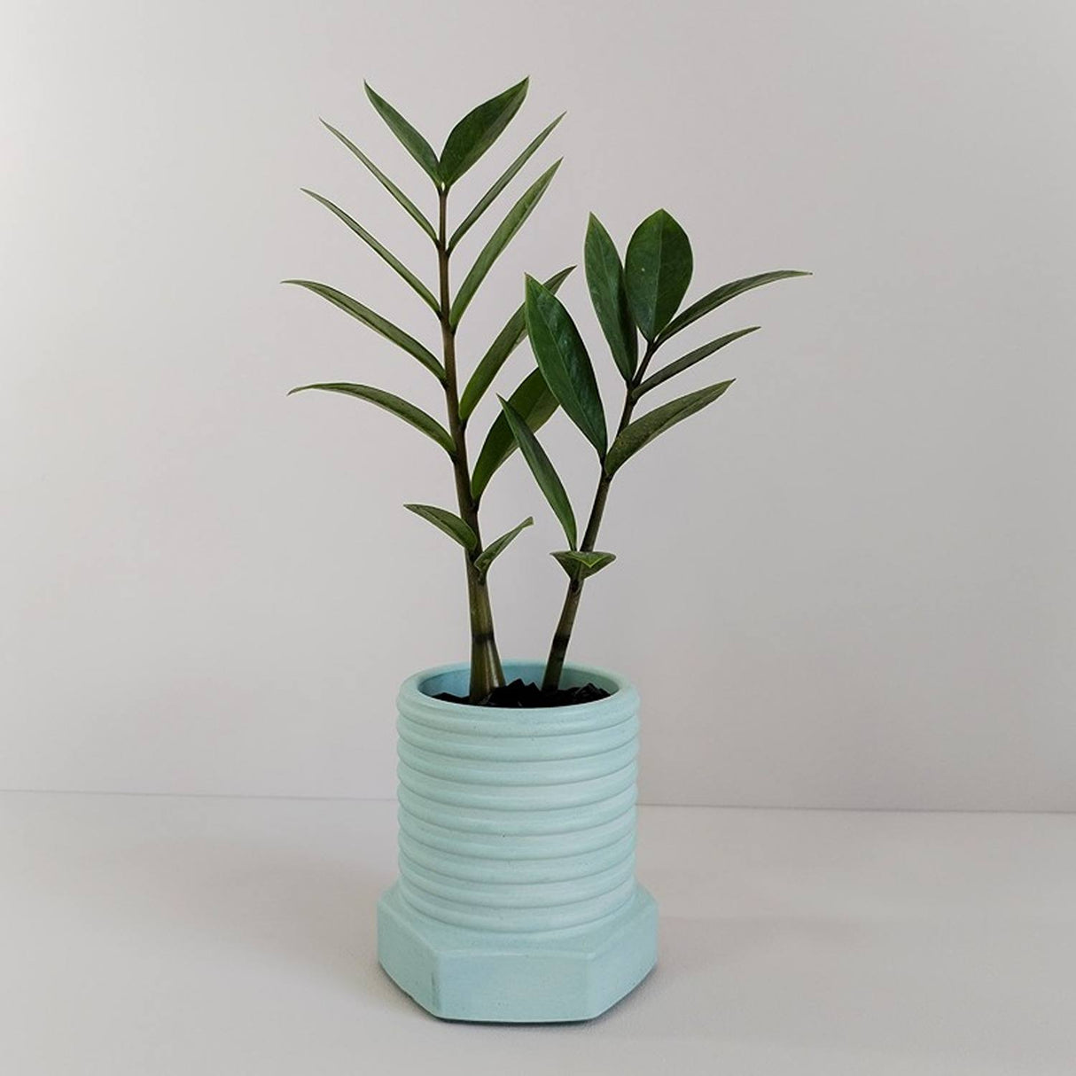 Matera de mesa Tornillo Aguamarina 10x10cm de Cemento Circular de 0.8 Litros - Jardineria | Bylmo