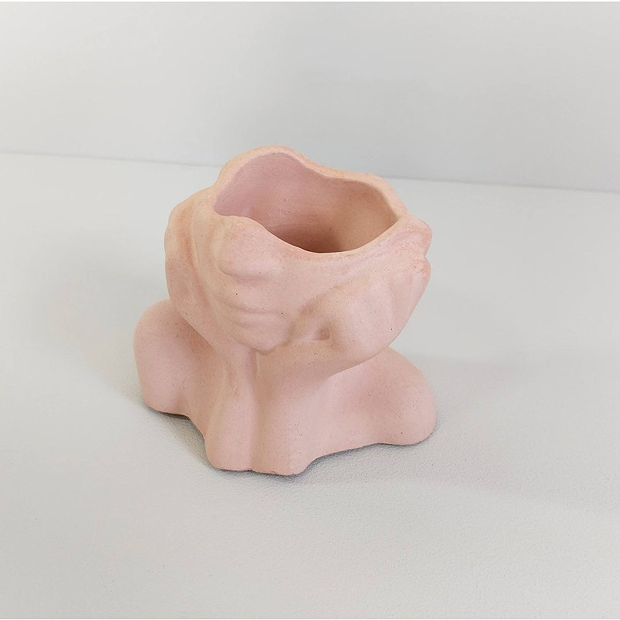 Florero Face Palo de Rosa 5 cm Minimalista - Jardineria | Bylmo