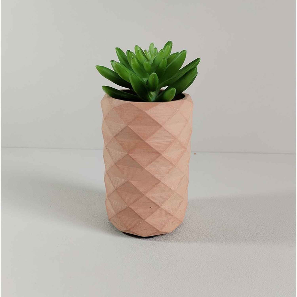 Florero Frida Palo de Rosa 6 cm Minimalista - Jardineria | Bylmo