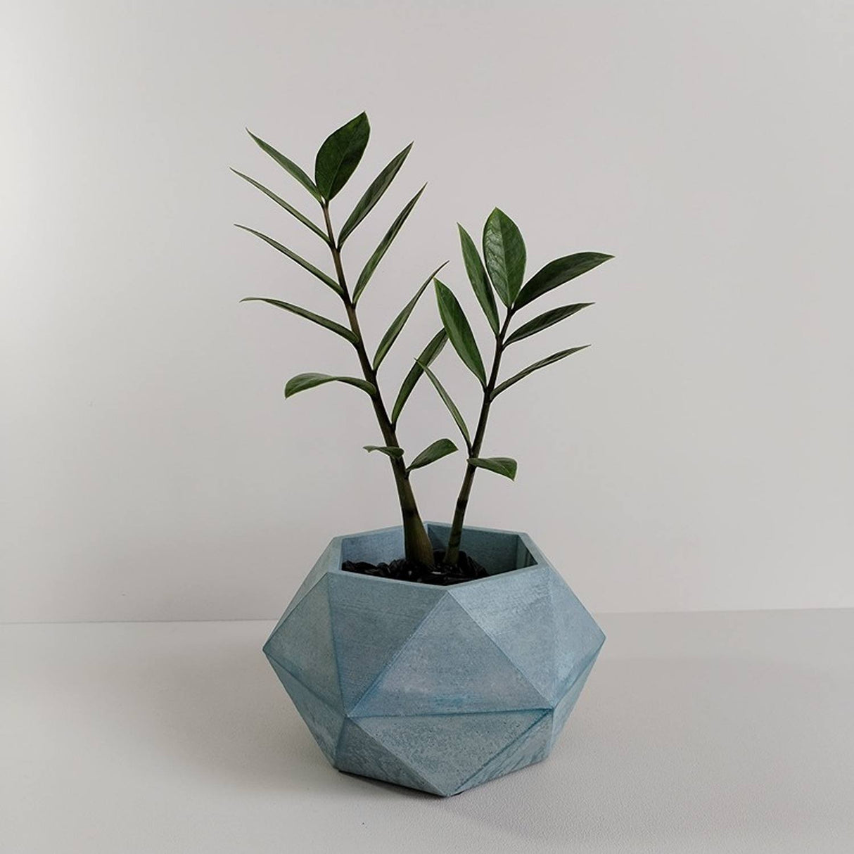 Matera de mesa Adara Azul Petróleo 18x11cm de Cemento Hexagonal de 2.3 Litros - Jardineria | Bylmo