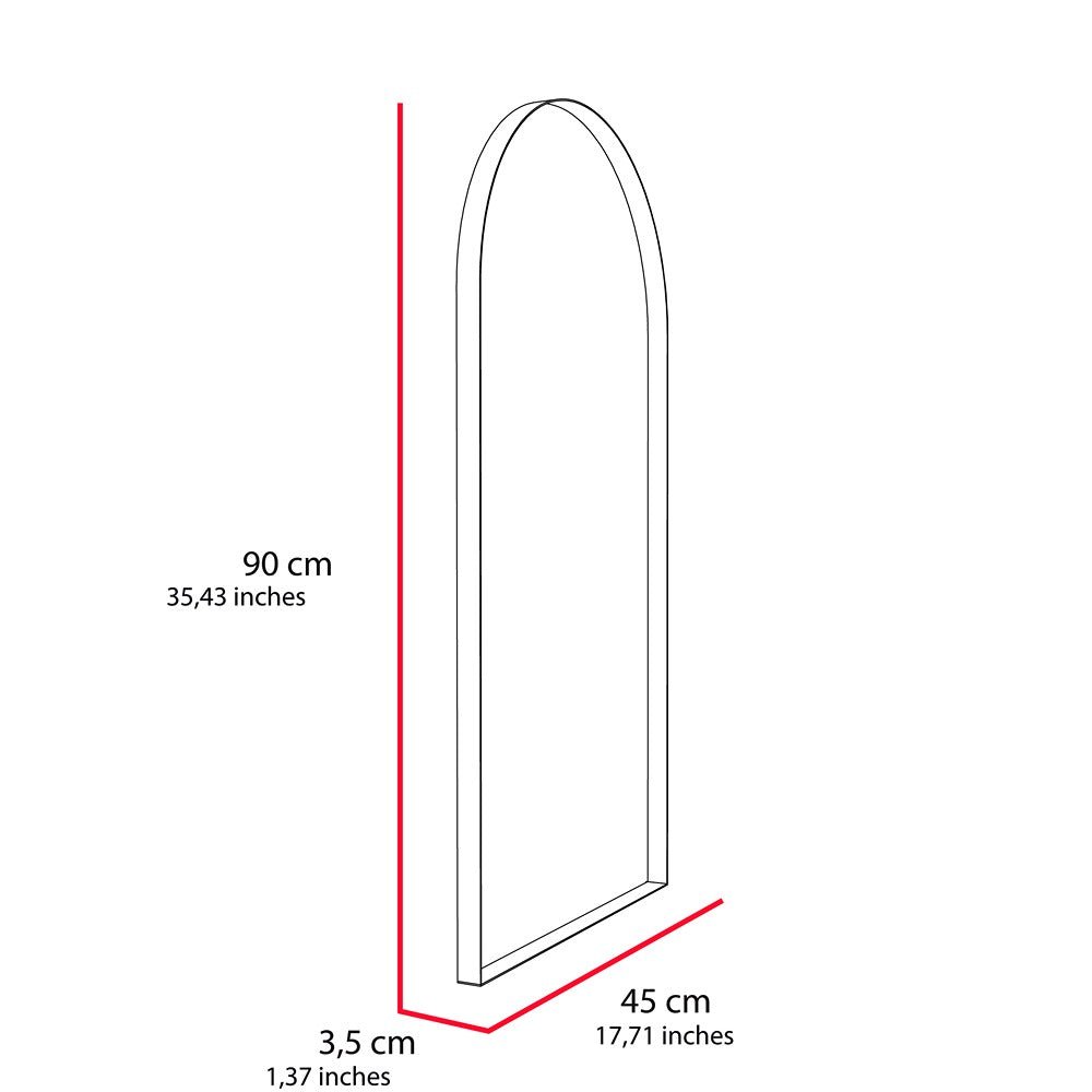 Espejo de Pared Goliat Plateado 45x90cm Rectangular con Marco Metalico - Espejos Decorativos | Bylmo