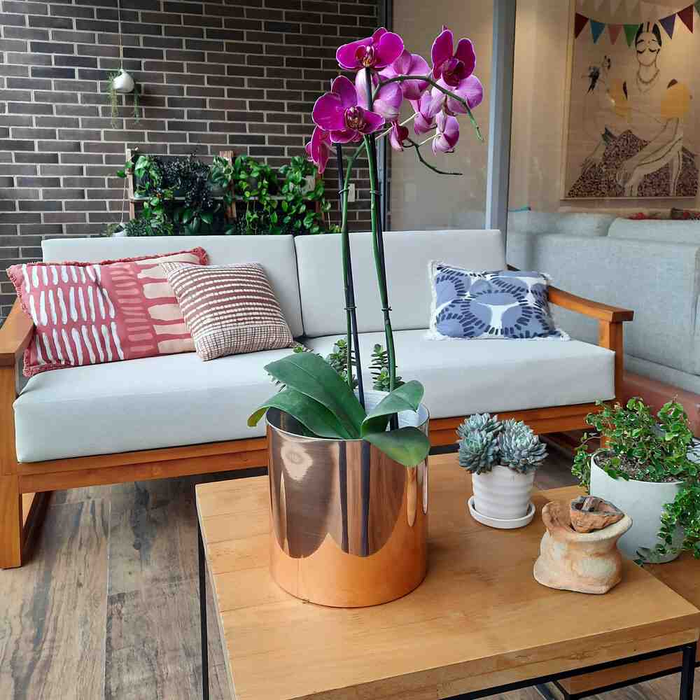 Matera de mesa Cobre 20x20cm de Metal Circular de 6.3 Litros - Jardinería | Bylmo