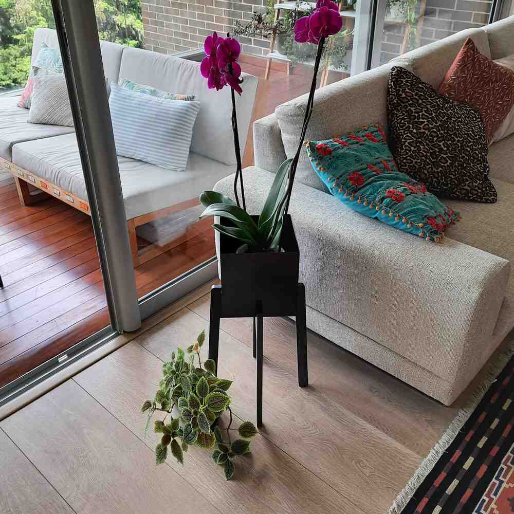 Matera Lagoa Negra 20 cm - Jardinería | Bylmo