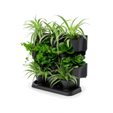 Jardines Verticales - Bylmo