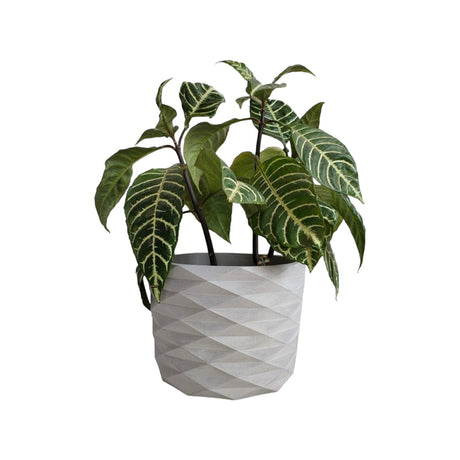 Matera de mesa Carlota Gris 19x15cm de Cemento Circular de 4.3 Litros - Jardineria | Bylmo