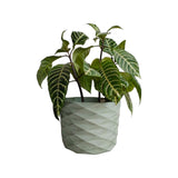 Matera de mesa Carlota Verde Oliva 19x15cm de Cemento Circular de 4.3 Litros - Jardineria | Bylmo