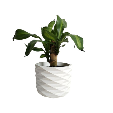 Matera de mesa Carlota Petty Blanco 15x13cm de Cemento Circular de 2.3 Litros - Jardineria | Bylmo