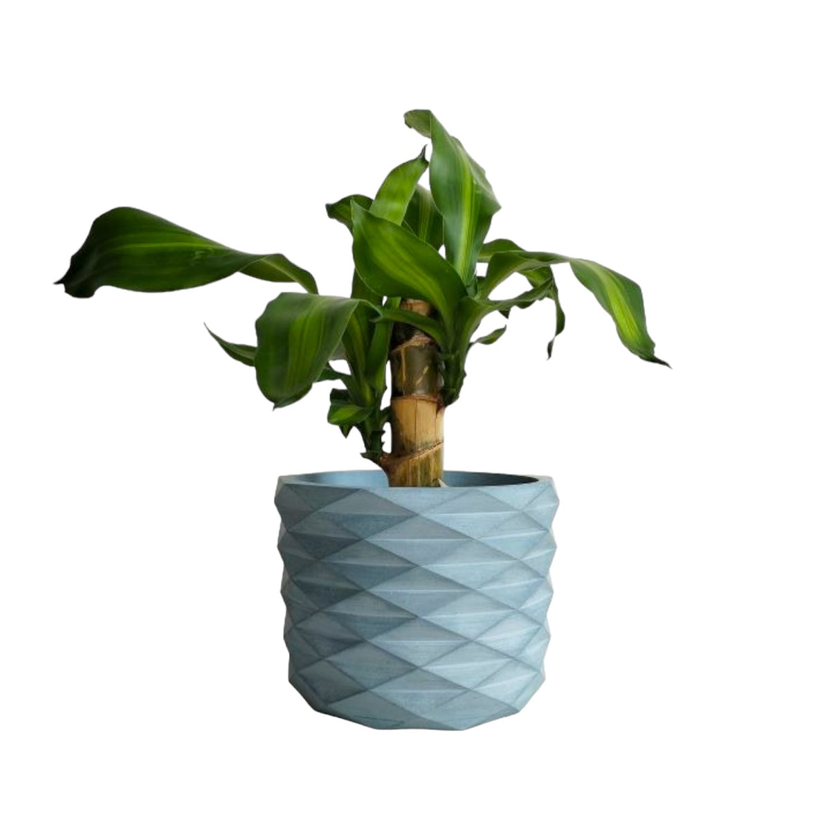 Matera de mesa Carlota Petty Azul Petróleo 15x13cm de Cemento Circular de 2.3 Litros - Jardineria | Bylmo