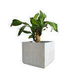 Matera de mesa Eloisa Gris 15x15cm de Cemento Cuadrado de 3.4 Litros - Jardineria | Bylmo