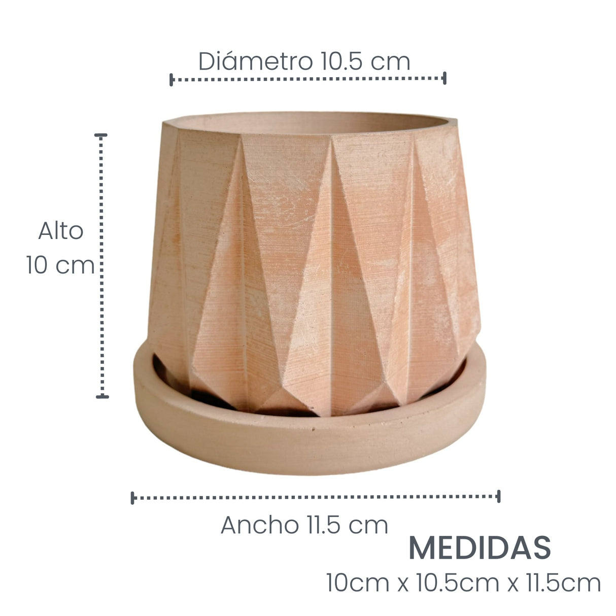 Matera de mesa Lirio Nude 10x2cm de Cemento Circular de 0.2 Litros - Jardineria | Bylmo