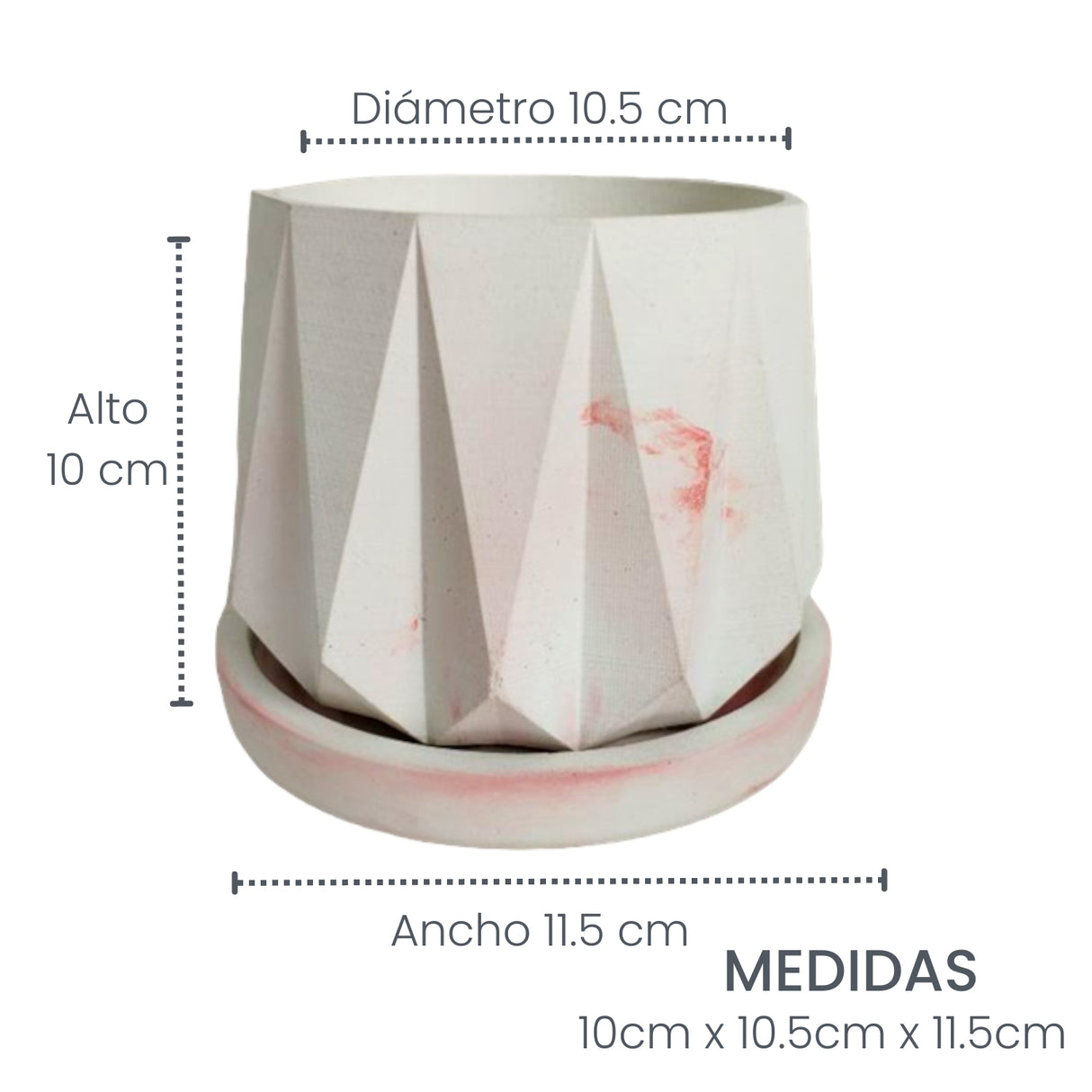 Matera de mesa Lirio Mármol Rosa 10x2cm de Cemento Circular de 0.2 Litros - Jardineria | Bylmo