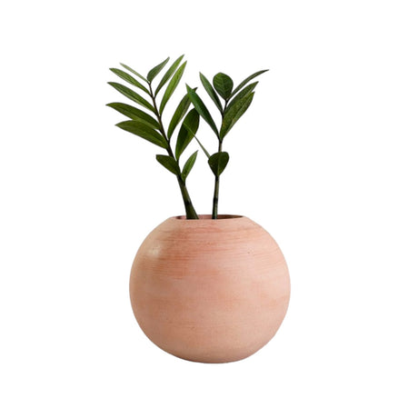 Matera de mesa Luna Palo de Rosa 12x12cm de Cemento Circular de 1.4 Litros - Jardineria | Bylmo