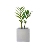 Matera de mesa Eloisa Petty Gris 12x12cm de Cemento Cuadrado de 1.7 Litros - Jardineria | Bylmo